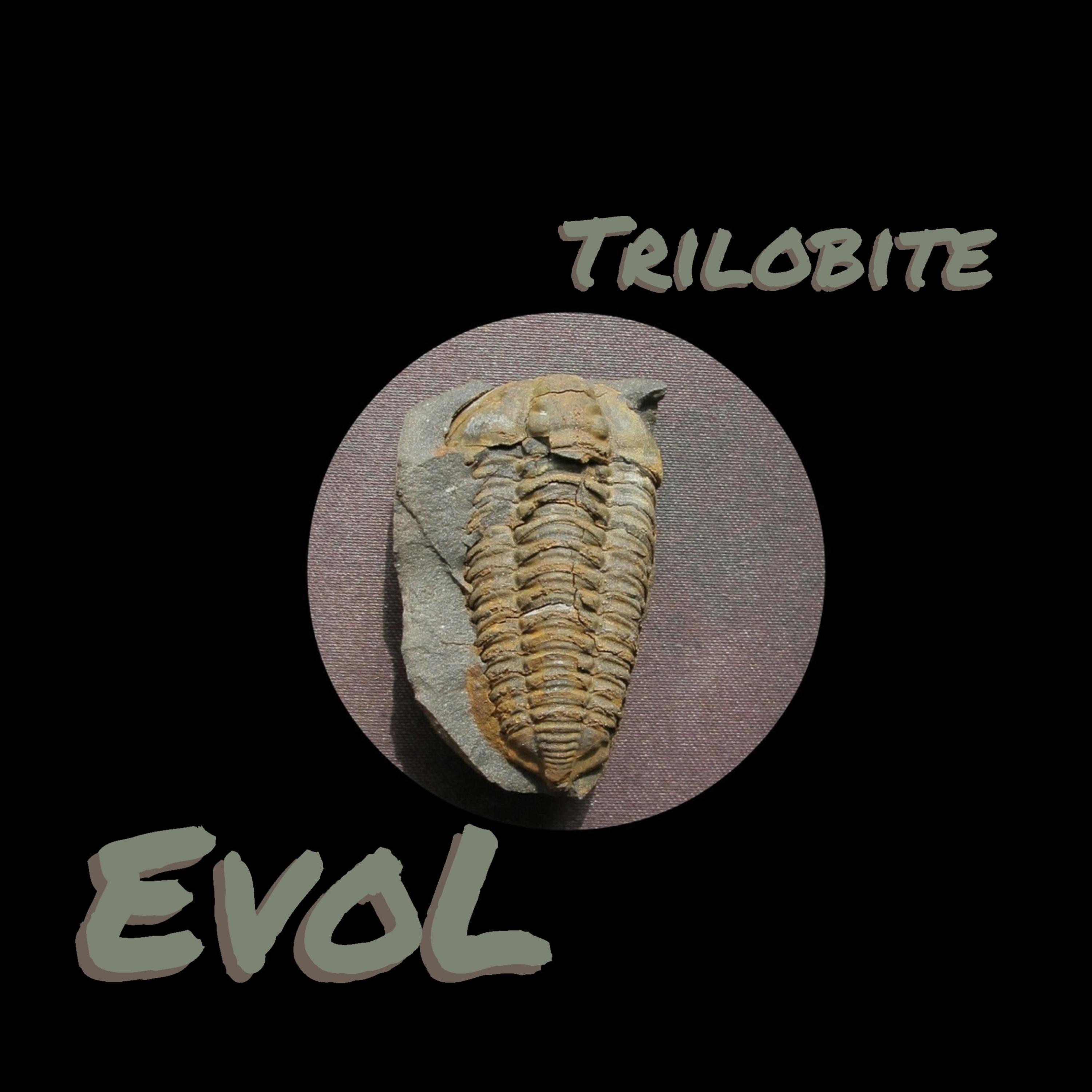 Trilobite