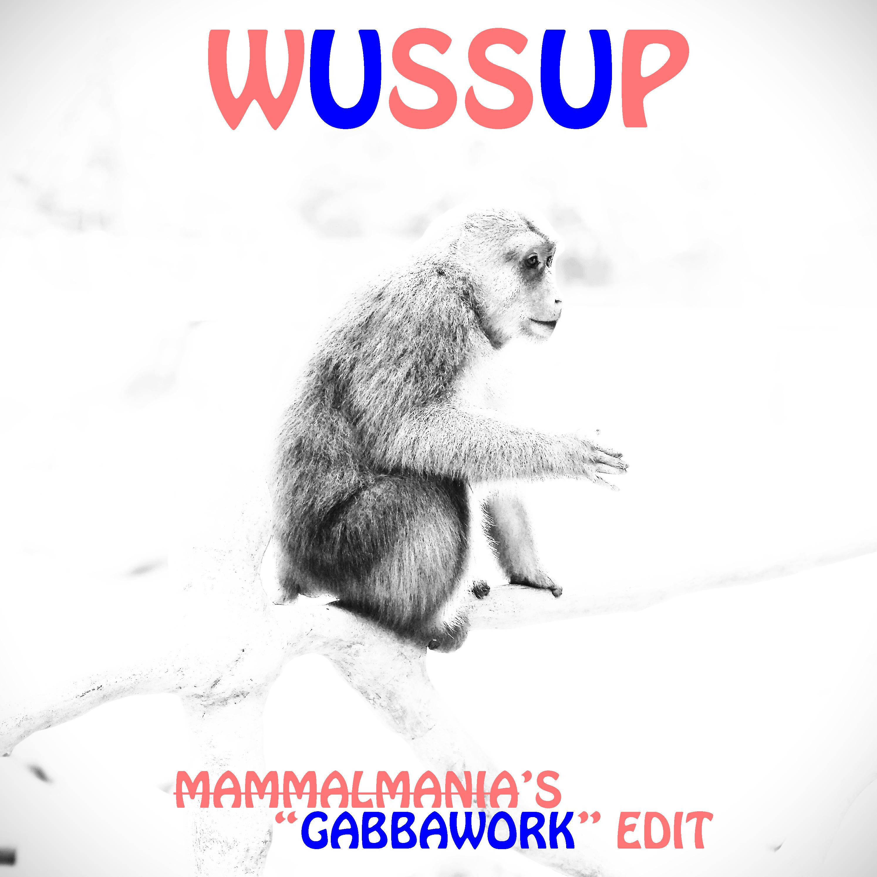 Wussup (Gabbawork Edit)专辑