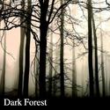 Dark Forest