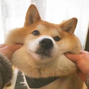 翻唱翻唱II