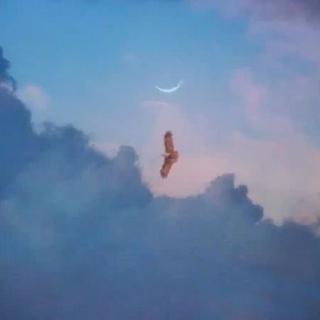 『精选』｜你也有故事 只是没说 对吧｜