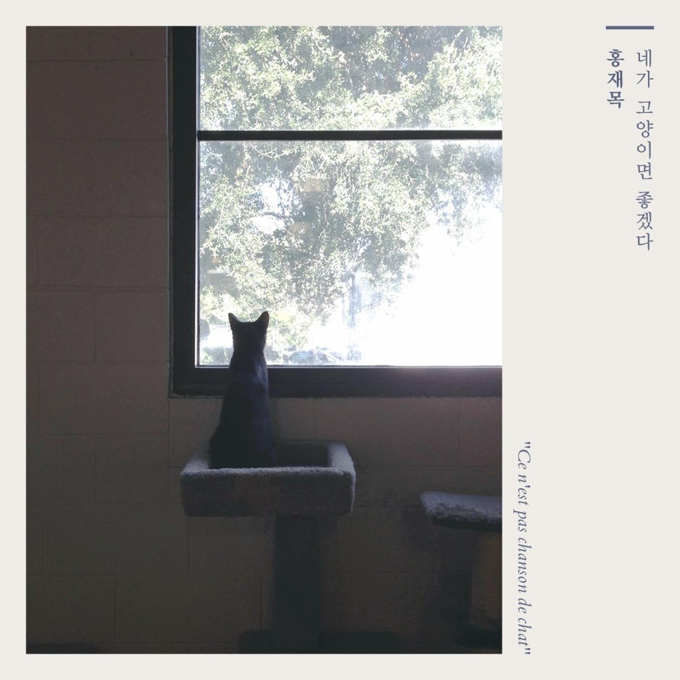 네가 고양이면 좋겠다 (Vocal 림 Of SoLaTi) (with. 림)