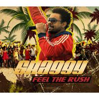 Shaggy Feel The Rush 新版男歌苏荷伴奏Reggae风格