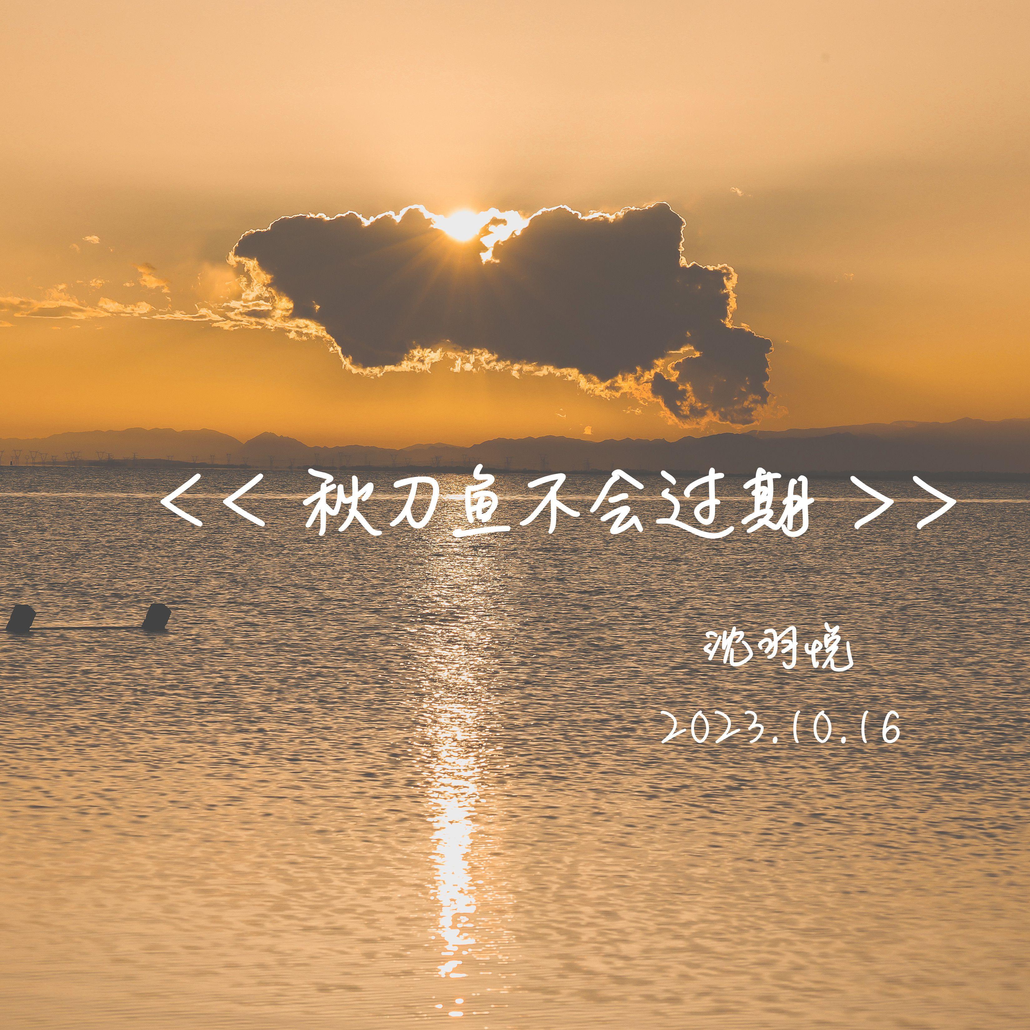 秋刀鱼的故事