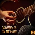 Country is on My Mind专辑