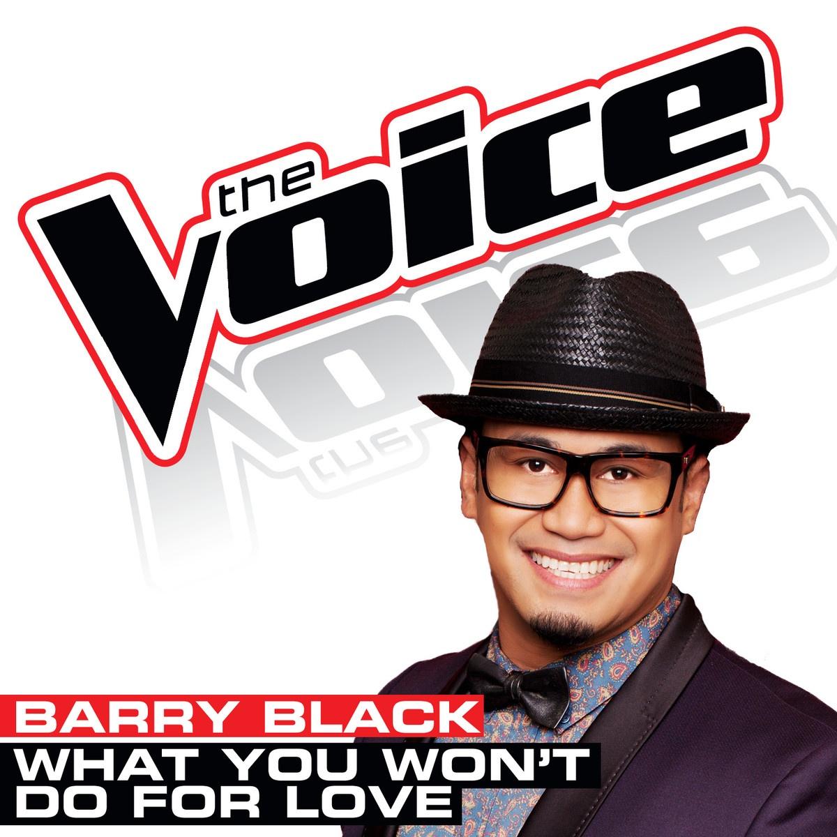 What You Won’t Do For Love (The Voice Performance) - Single
