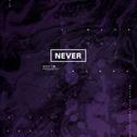 101专翻小队-NEVER专辑