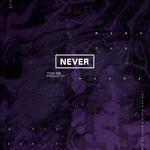 101专翻小队-NEVER专辑