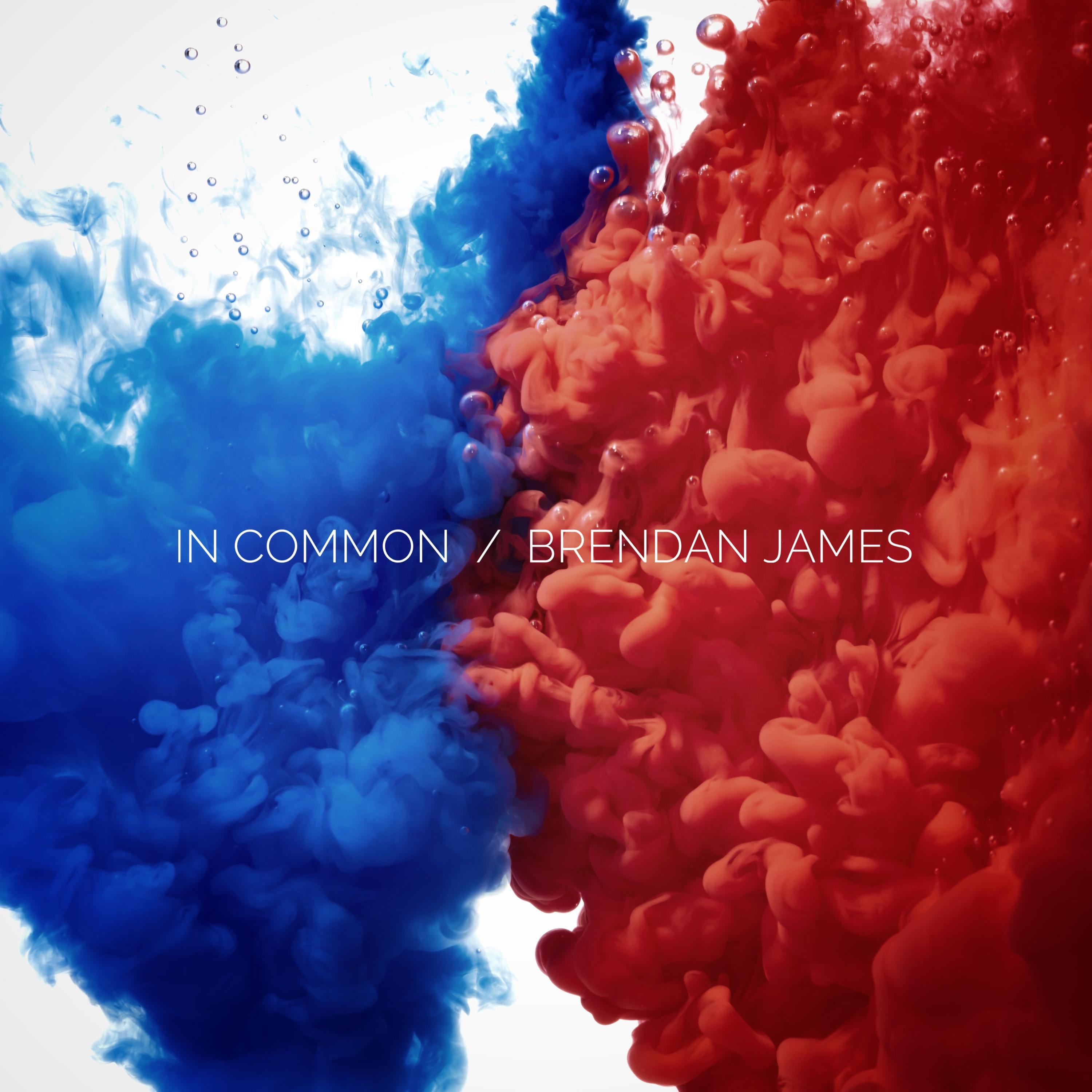 Brendan James - In Common