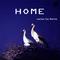 Home（Lucian Dai Remix）专辑