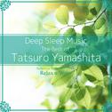 Deep Sleep Music - The Best of Tatsuro Yamashita: Relaxing Music Box Covers专辑