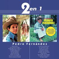 Pedrito Fernandez - La De La Mochila Azul (karaoke)