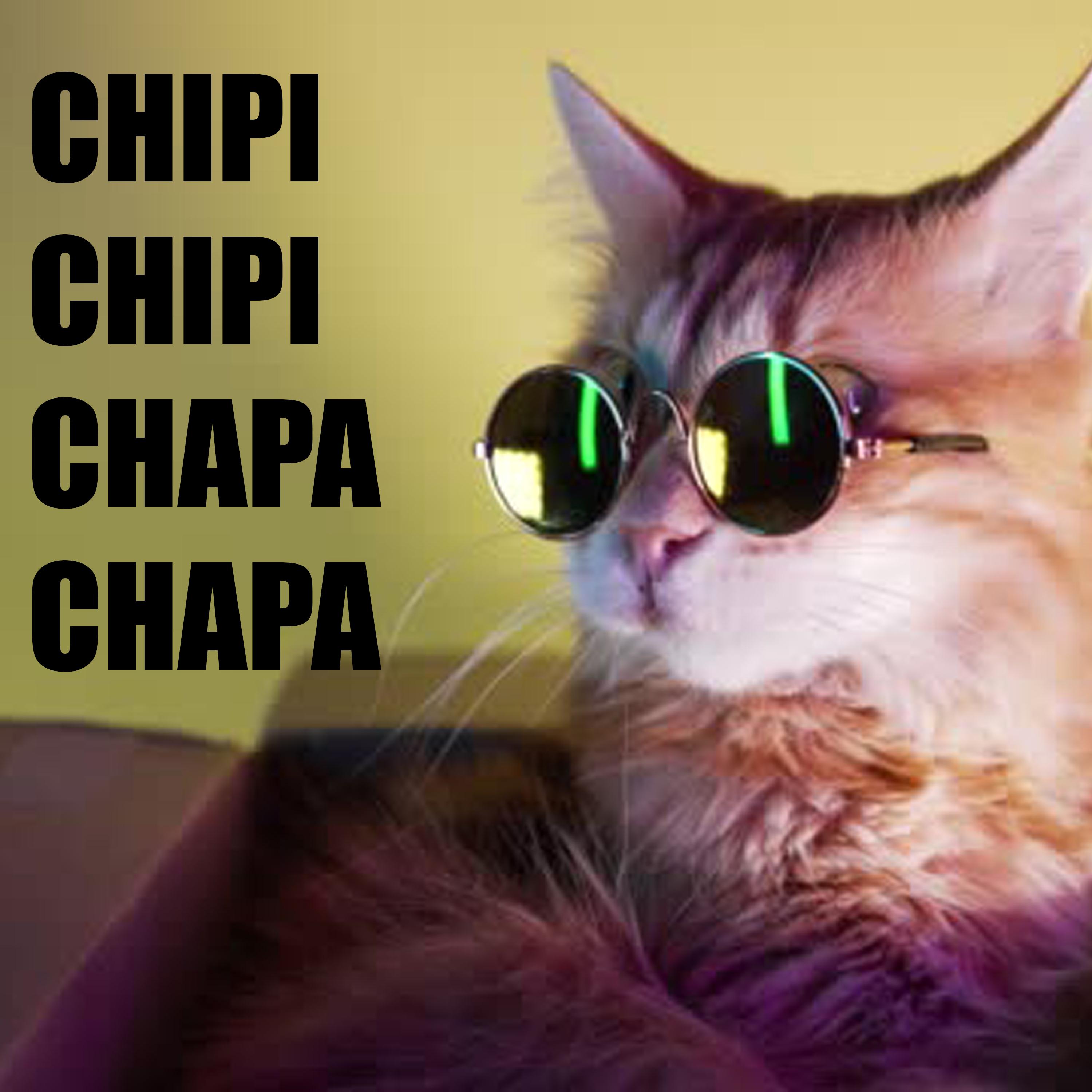 Chipi Chipi Chapa Chapa