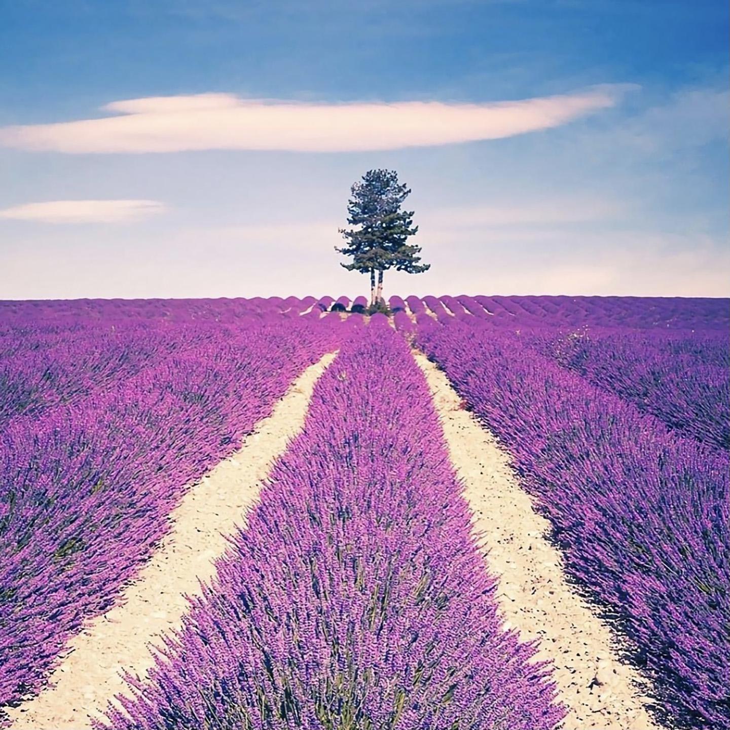 哄睡轻音乐 (虫鸣夜的海滩)