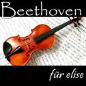 Fur Elise - Classic Beethoven for Children专辑
