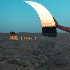 Defect/缺陷