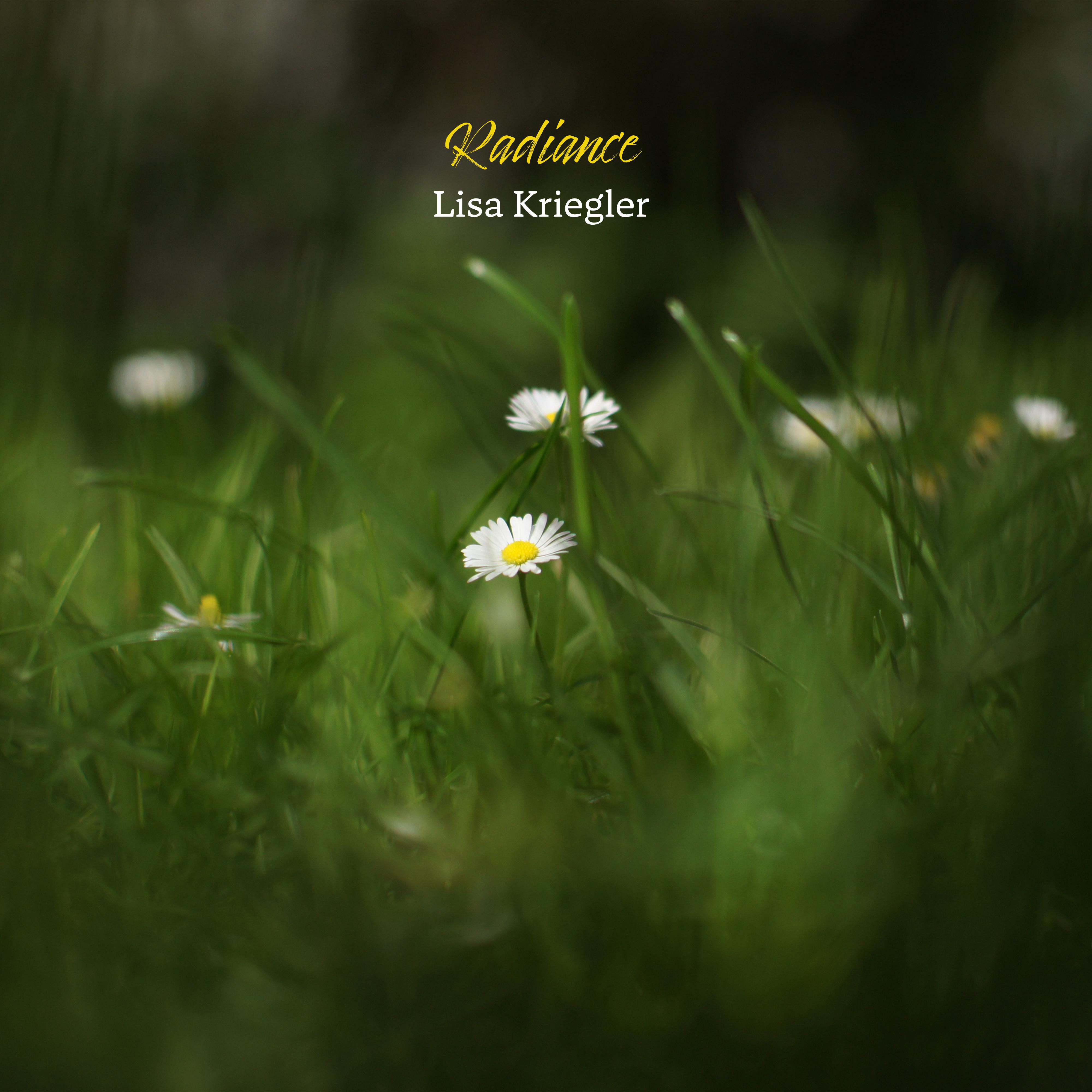 Lisa Kriegler - Colour The Shadows