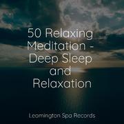 50 Relaxing Meditation - Deep Sleep and Relaxation