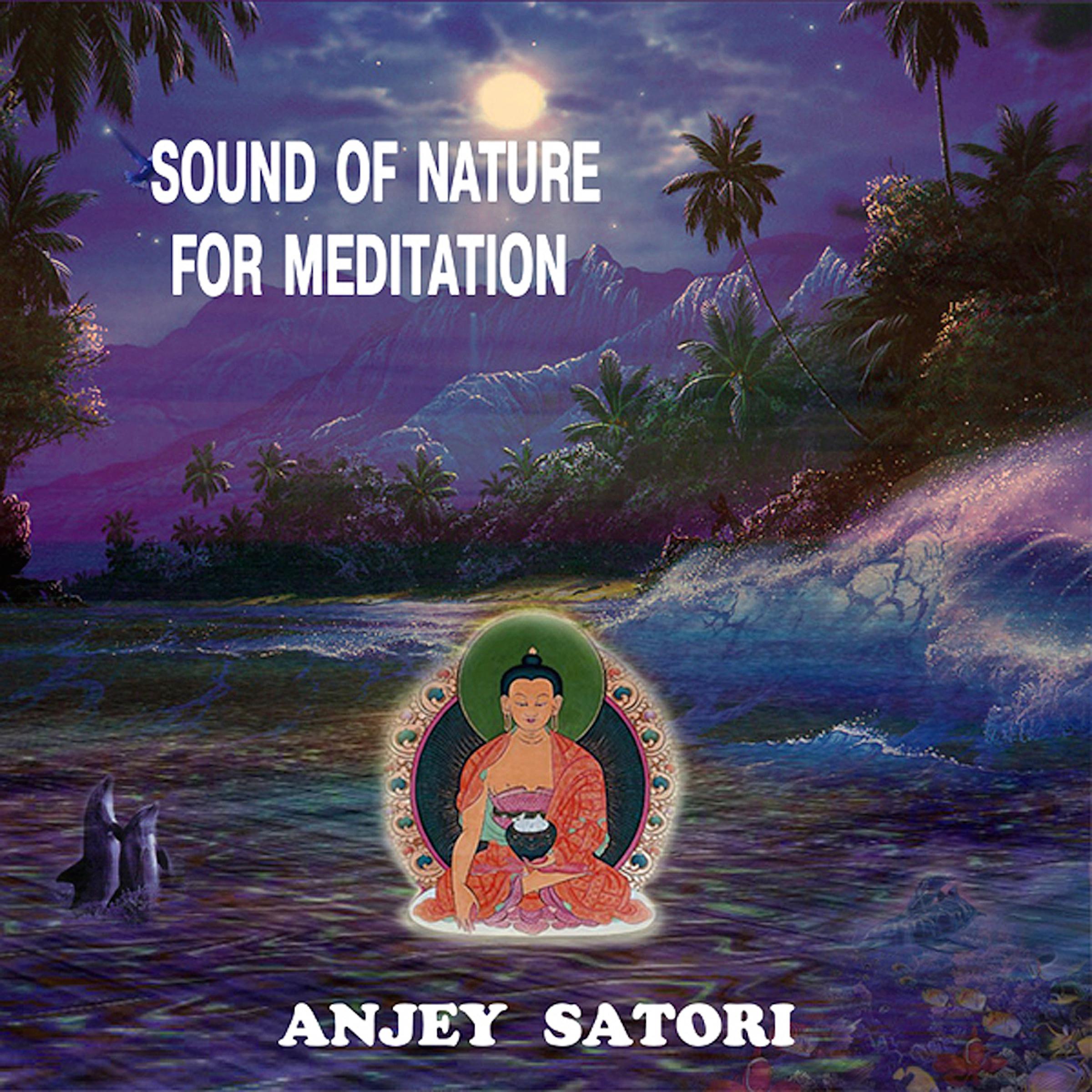 Sound of Nature for Meditation专辑