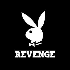 REVENGE