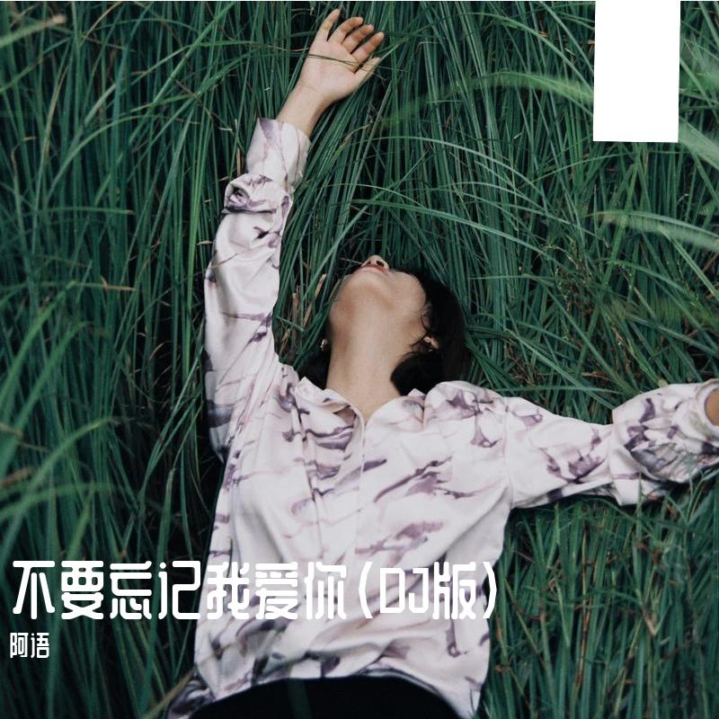 不要忘记我爱你（DJ版）