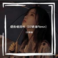 烟雨唱扬州（DJ晓锋Remix）