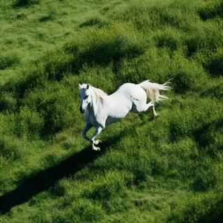 INTJ｜命是弱者的借口 运是强者的谦辞