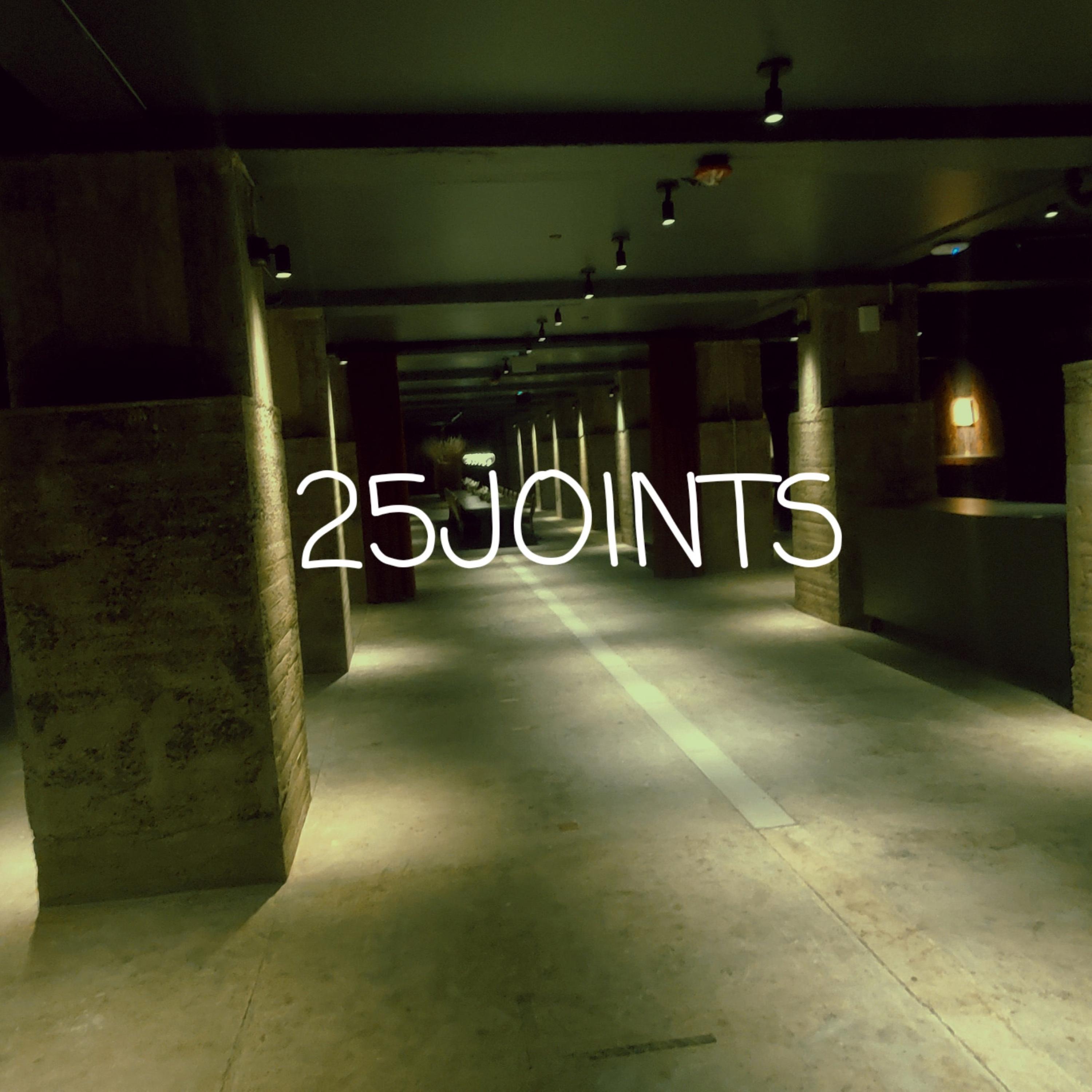 25 JOINTS