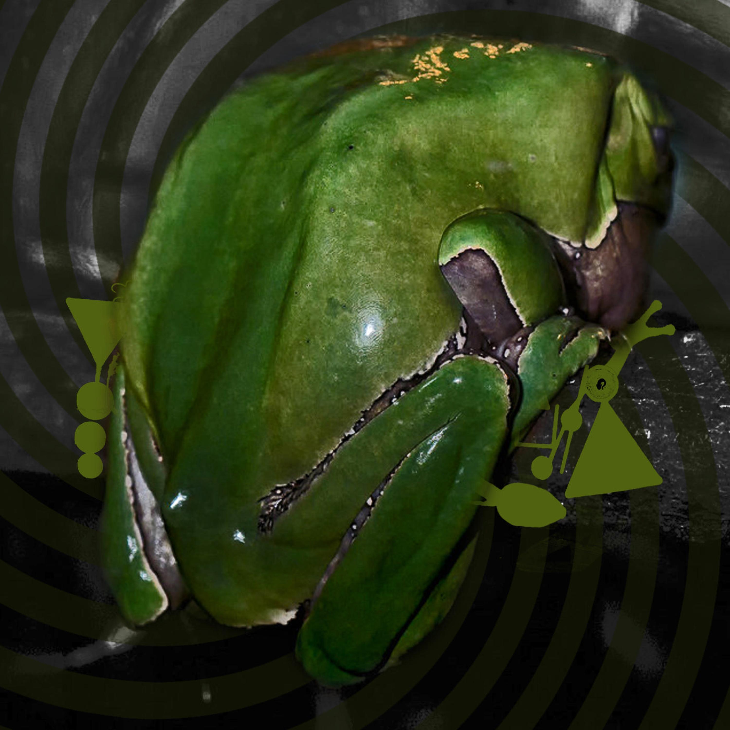 Beat To Death By A Frog