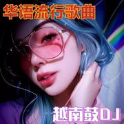 爱情三十六计 - 蔡依林（越南鼓DJ）