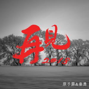 原子飞、秦勇 - 再见2018(伴奏)