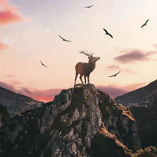 【抒情专用】适合安静地听的音乐