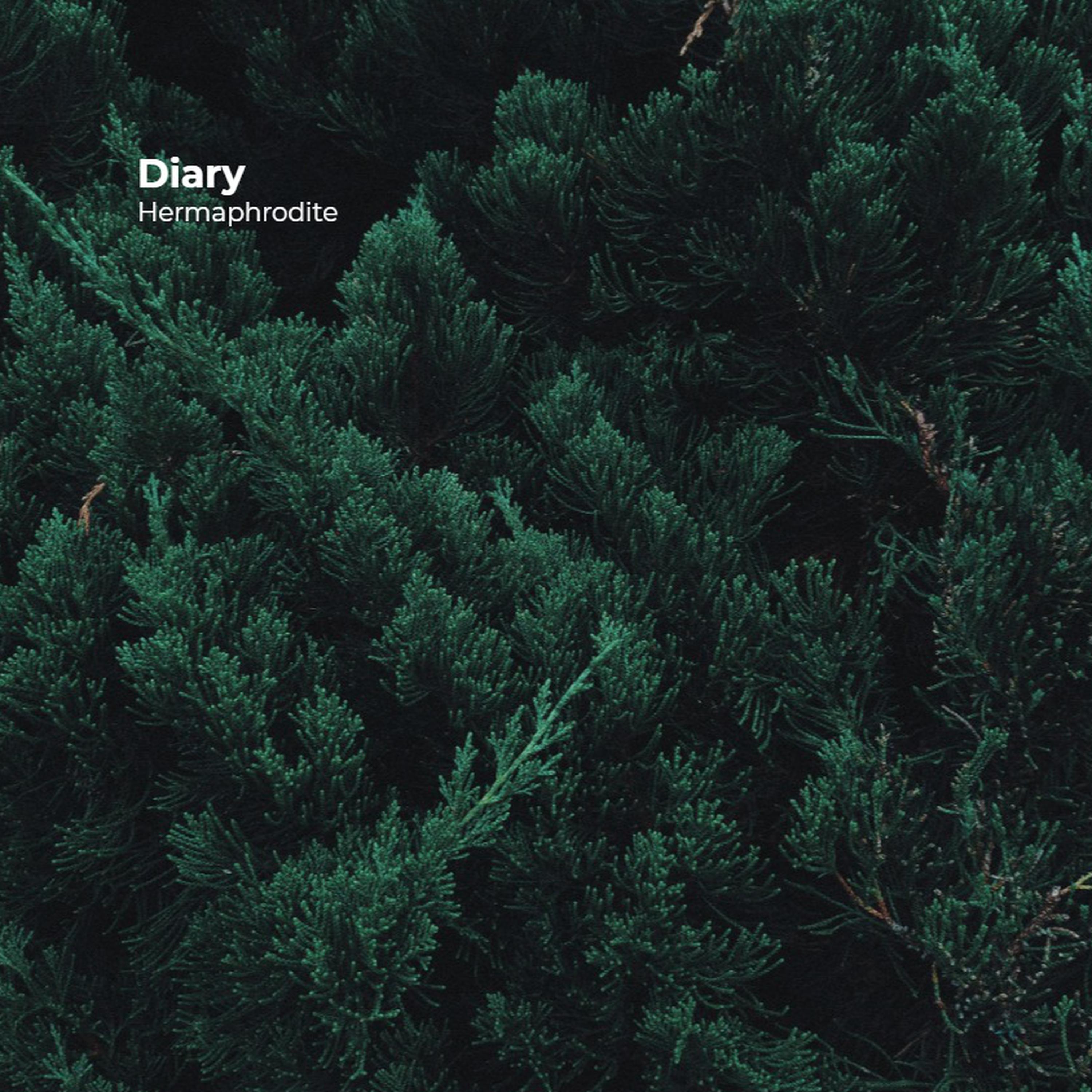 Diary