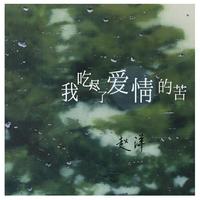 赵洋-我吃尽了爱情的苦