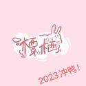 橝栖-2022年终总结