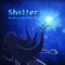 Shelter (Bla5ted bootleg)专辑