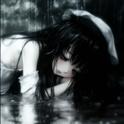 泪转雨专辑