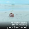 Anthony Island - Pearl in a shell