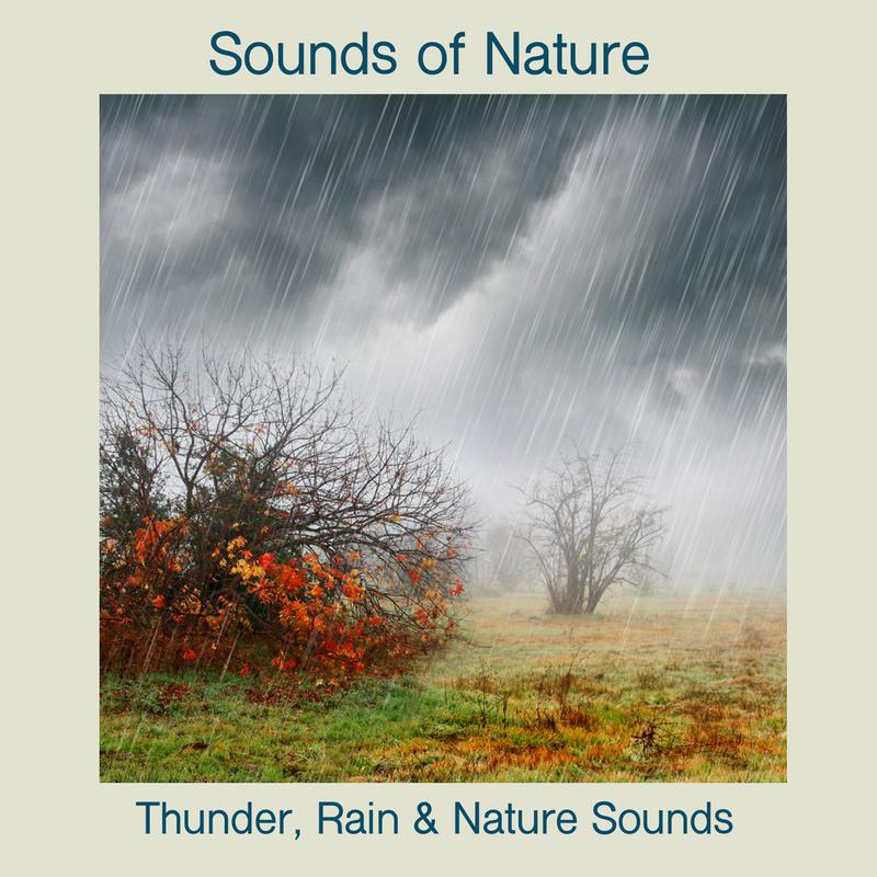 Thunder, Rain & Nature Sounds专辑