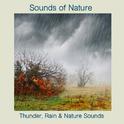 Thunder, Rain & Nature Sounds专辑