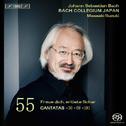 Johann Sebastian Bach: Cantatas Vol. 55专辑