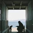 我又梦见了你.