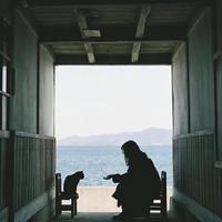 我又梦见了你.