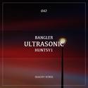 Ultrasonic