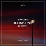 Ultrasonic