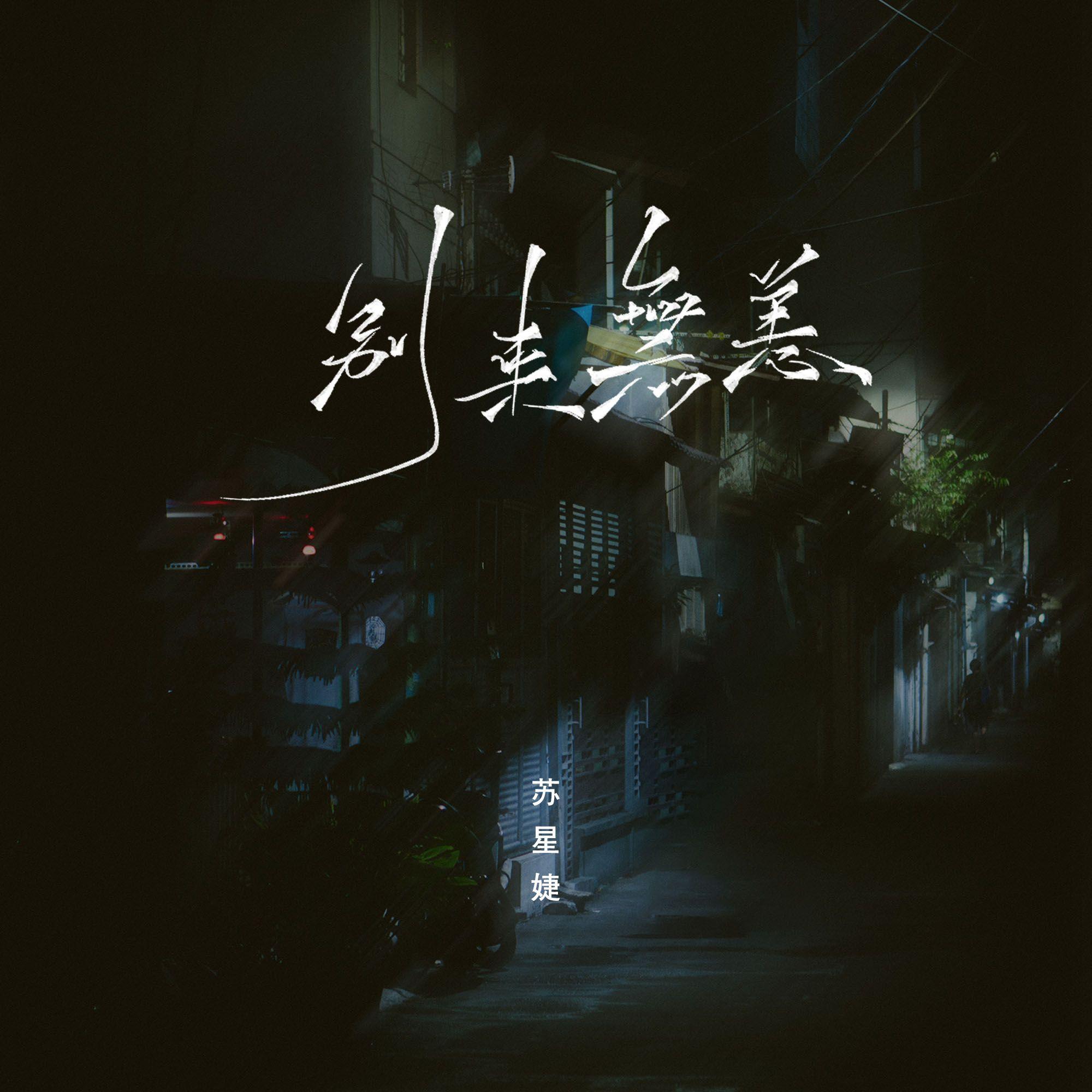 别来无恙（remix）