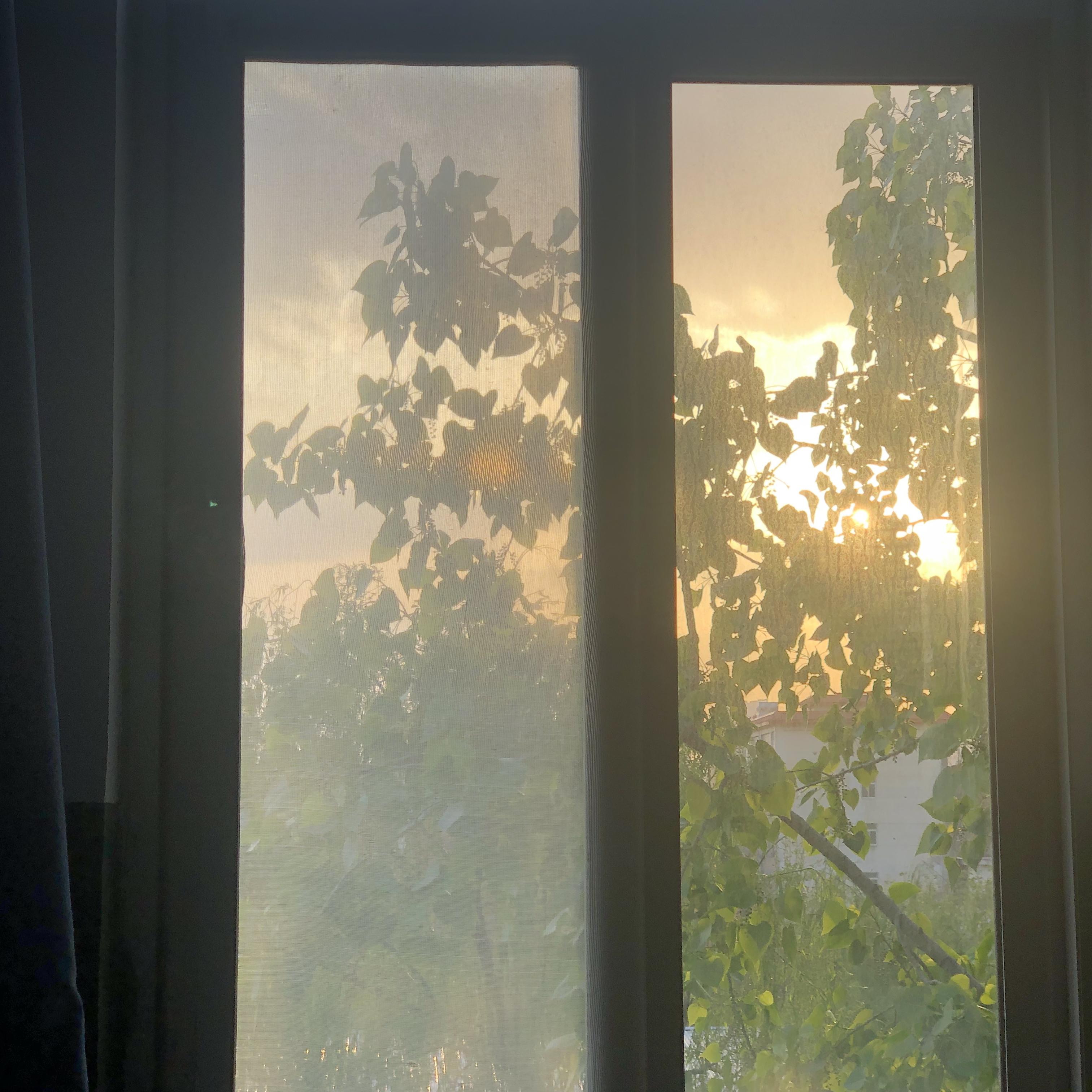 Nevada-Vicetone Lofl Mix（翻版）