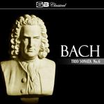 Trio Sonata No. 6 in G Major, BWV 530: I. Vivace