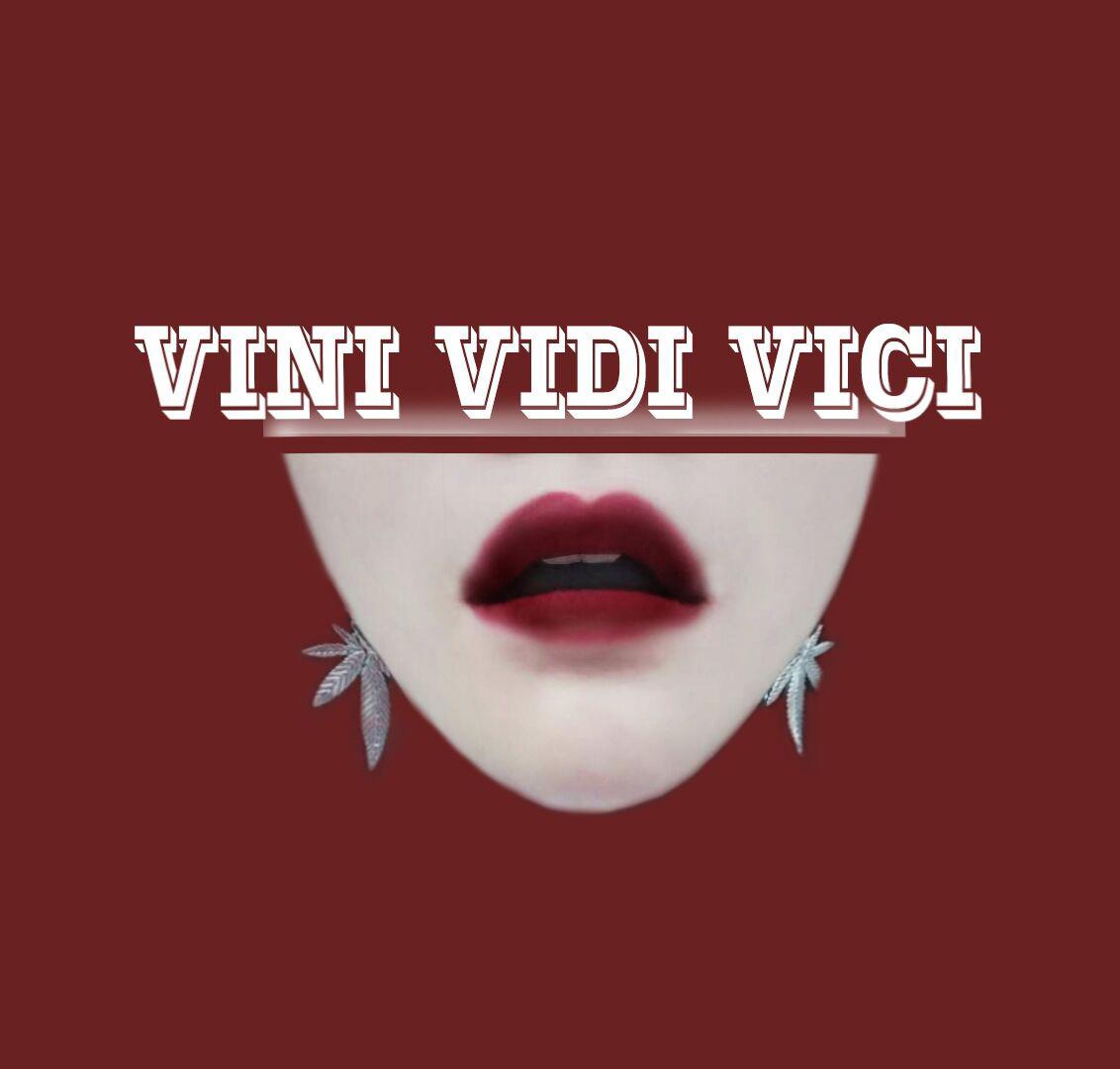 VINI VIDI VICI专辑