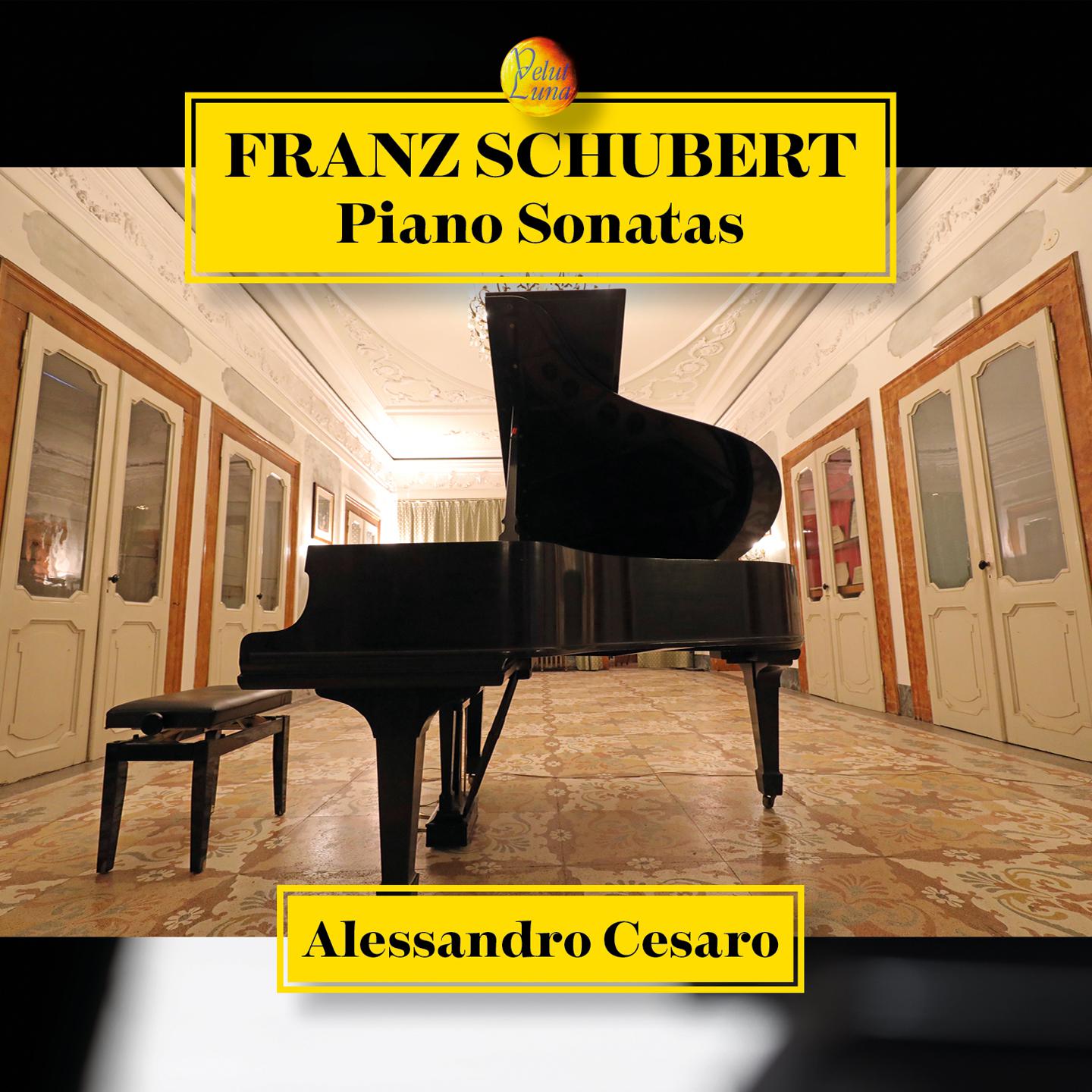 Alessandro Cesaro - Piano Sonata in A Major, D. 664:Allegro moderato